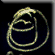 psych.gif (4878 bytes)